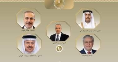 وزير الخارجية يبحث مع نظرائه في تركيا وباكستان وقطر والبحرين جهود خفض التصعيد