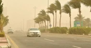 أمطار ورياح تضرب الآن مناطق من القاهرة الجديدة