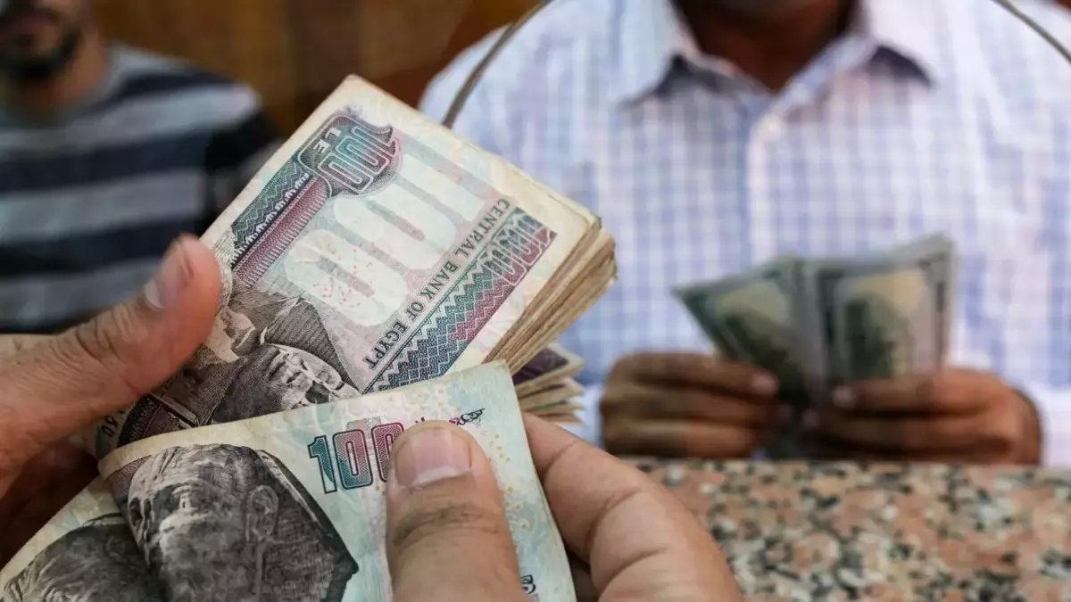 هل تخشى أن تكون مستبعداً؟ الدولة تنتظر 11.5 مليون مواطن لتضمك في منظومة ضخمة وعريضة.