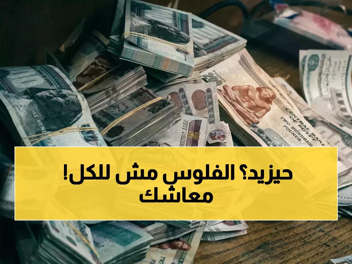  الموظفون السابقون بالبنك التجاري الدولي (CIB)