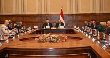 الخارجية لـ«نواب الشيوخ»: اعتداء إيران على دول الخليج مرفوض