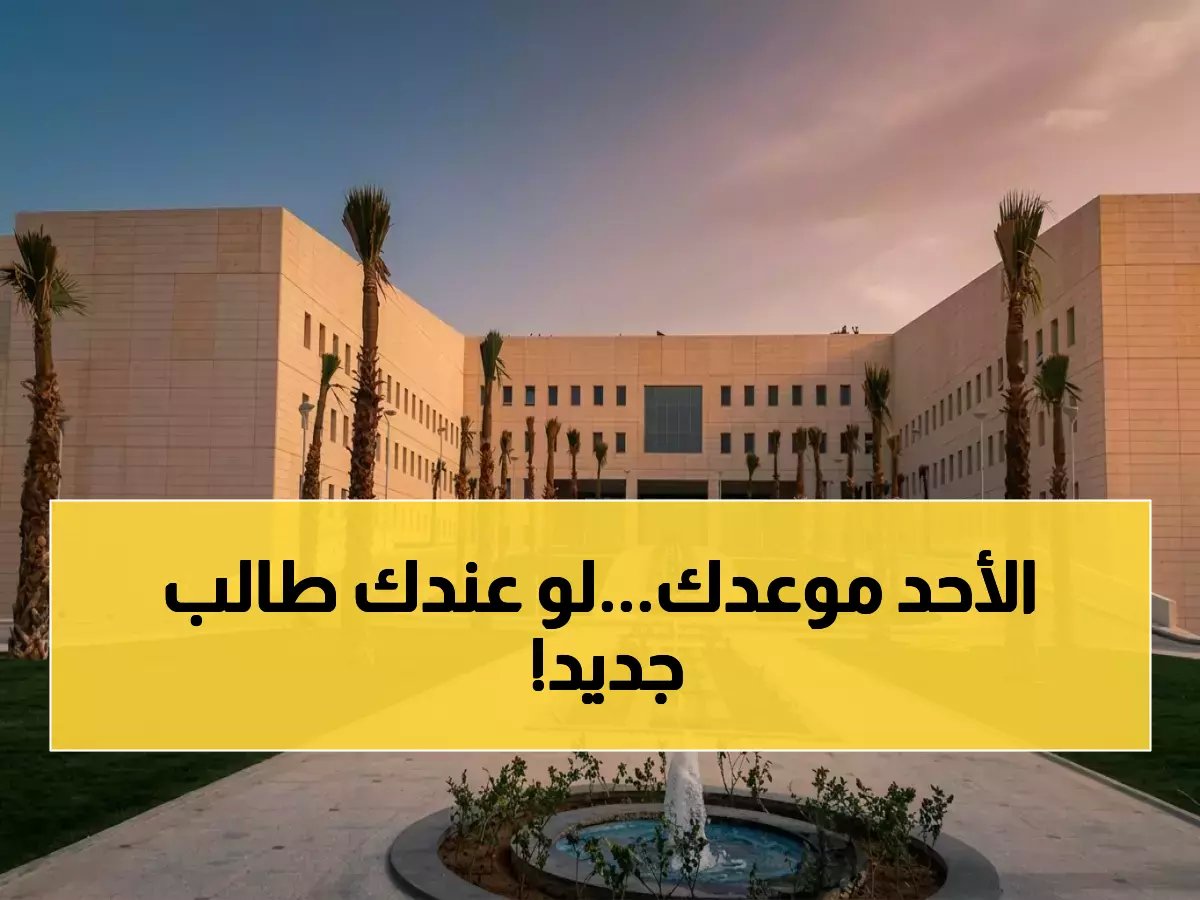  تسجيل الطلاب المستجدين يبدأ الأحد عبر نور... إليك الخطوات والمواعيد الدقيقة لكل فئة!