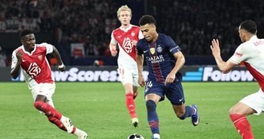 3 حكام بالدوري الفرنسى يحققون 220 ألف يورو سنويًا