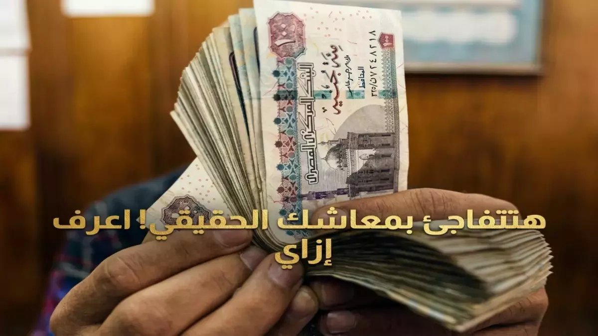 وراء ضجيج المعاشات... 11.5 مليون مصري لا يعرفون هذه الحقيقة الوحيدة التي تعلنها الهيئة القومية للتأمين الاجتماعي الآن