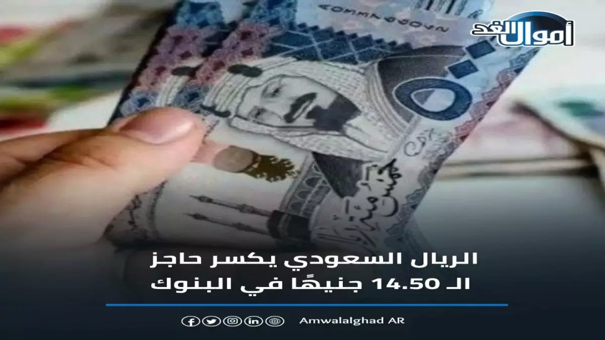 ارتفاع صادم للريال السعودي فوق 14.50 جنيهًا - البنوك الخاصة تتصدر الأرقام القياسية! هل ستؤثر على سعر الحج والعمرة؟