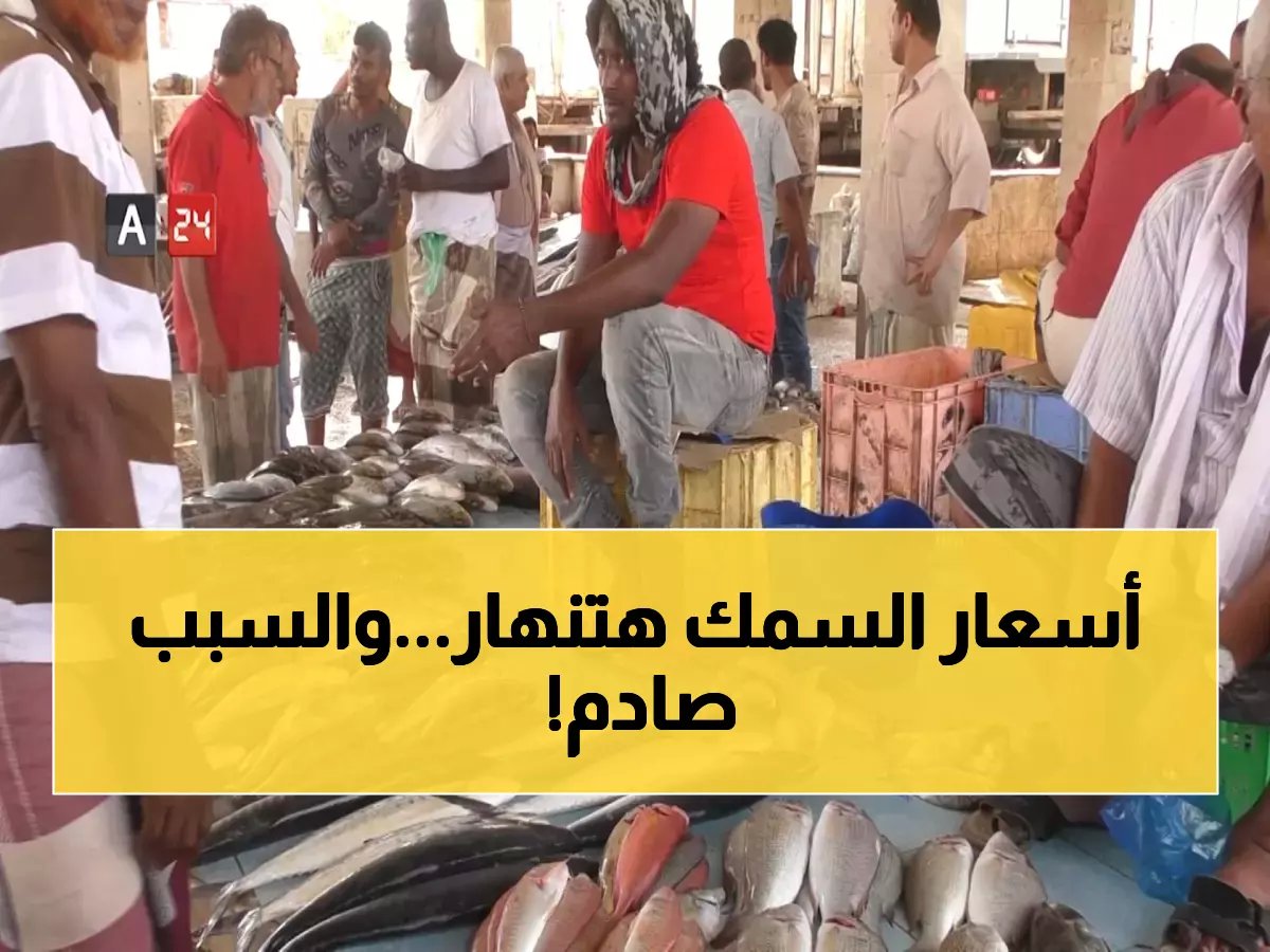 بشرى للمستهلك وصدمة للتاجر: هل تعود أسماك اليمن لموائد المواطنين أخيراً؟