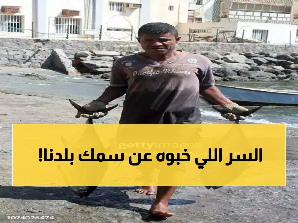 السر الذي لم يُعلن عن قرار منع تصدير الأسماك.. من المستفيد الحقيقي؟