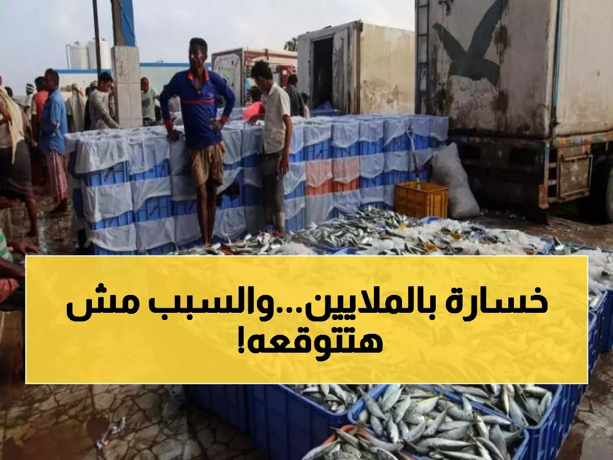 كارثة للصيادين: اليمن يخسر 10,000 طن من التونة.. والسبب سيصدمك!