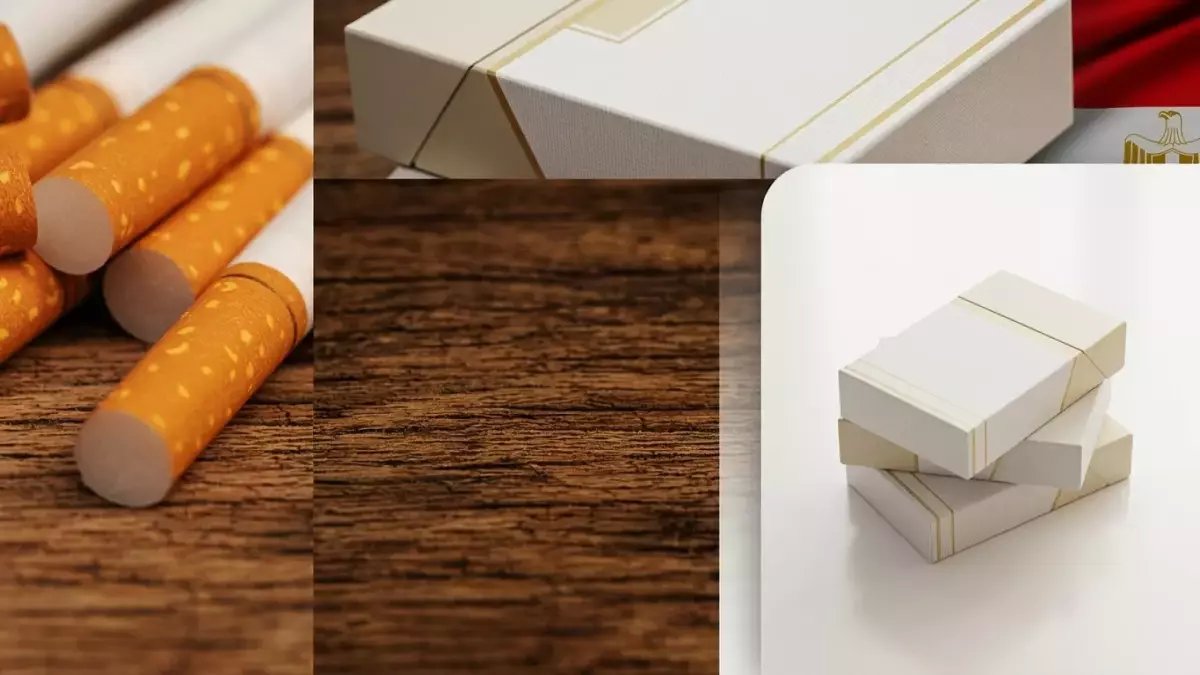 🚬 القائمة السرية: أسعار السجائر المذهلة بعد الزيادة الصادمة... هل ستتوقف عن التدخين بعد معرفة السعر الجديد؟