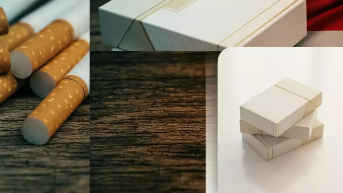 قررت رفع سعر العبوة.. كم تدفع 'الشركة الشرقية للدخان' يومياً من جيب المدخن العادي؟ (48 جنيهاً)