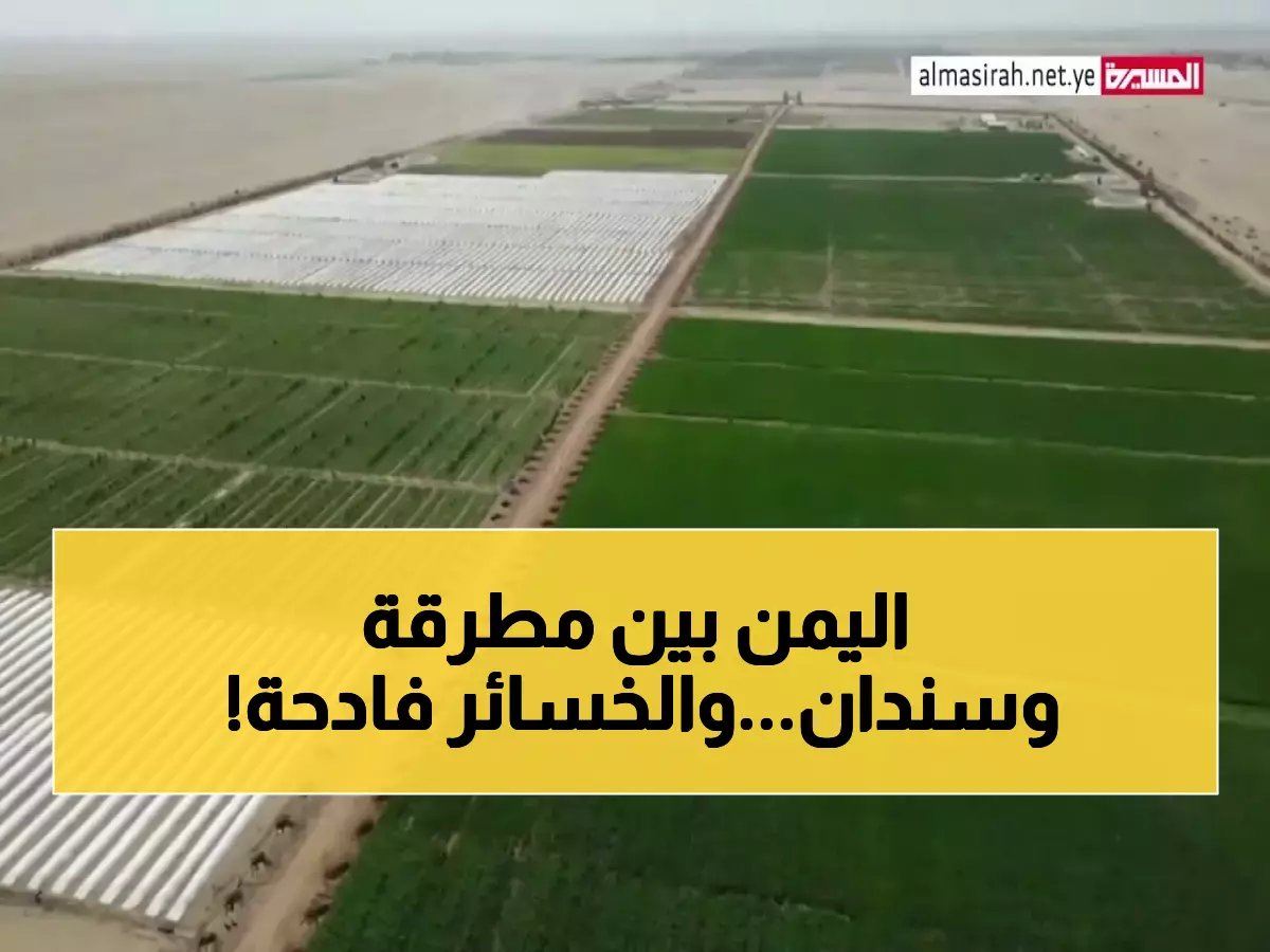 رسمياً: الفاو تطلق تحذيراً أحمر للمزارعين اليمنيين.. المحاصيل في خطر حقيقي