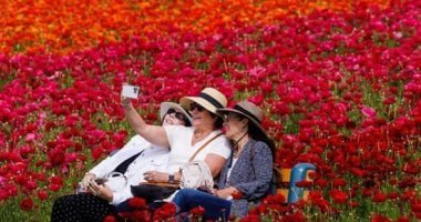 الربيع في أوروبا.. الملايين مهددون بالحساسية موسم حبوب اللقاح هذا العام