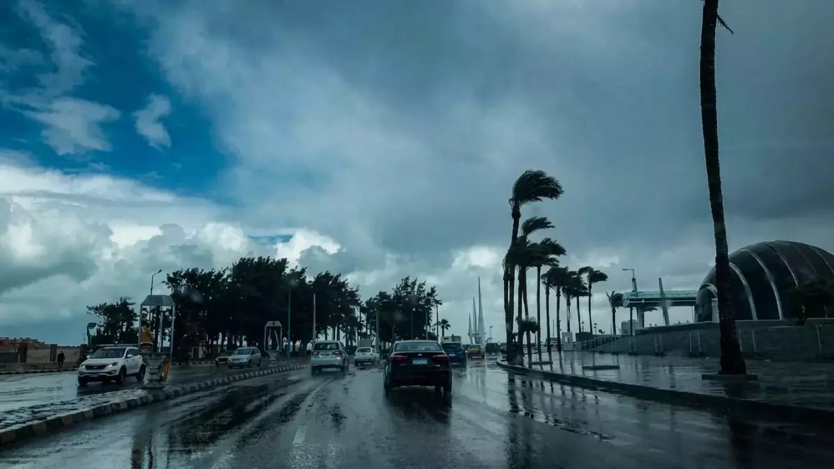 عاجل: الأرصاد تحذّر.. شبورة كثيفة وأمطار مفاجئة تضرب مناطقك غدًا - حالة الطقس تنقلب بشكل خطير!