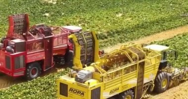 أوروبا بلا مبيدات.. أزمة تهدد المحاصيل وتضع الأمن الغذائى على المحك