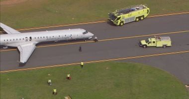 سرب نحل يتجمع داخل محرك طائرة أمريكية ويعطل إقلاعها لمدة ساعة.. فيديو