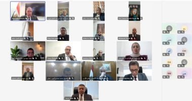 وزير الخارجية يشارك فى الاجتماع الافتراضي مع أبناء الجالية المصرية بالأردن