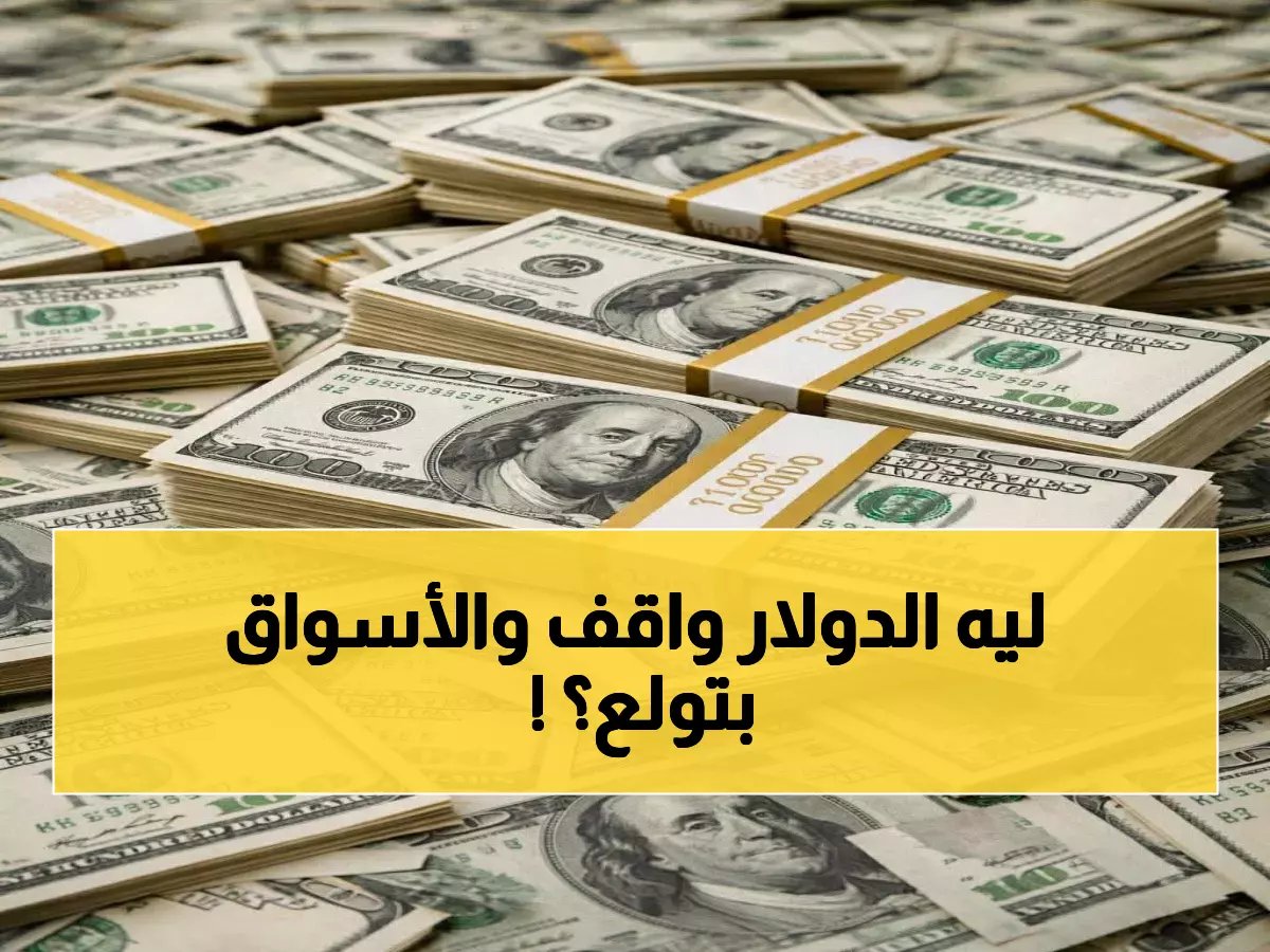  الدولار يحافظ على سعر 54.29 جنيه رغم عاصفة الأسواق العالمية… قرار الفائدة أثبت فعاليته في تثبيت الجنيه!