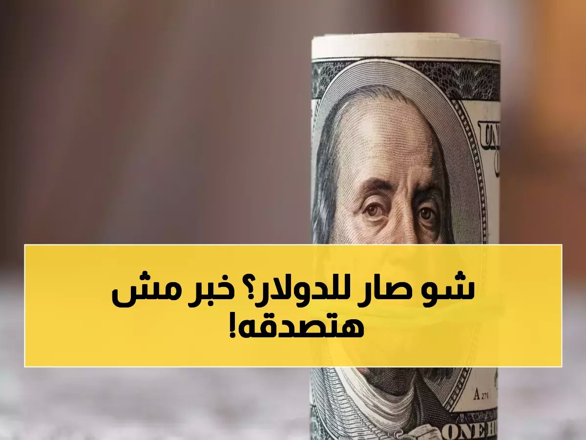  استقرار صادم للدولار عند 54.29 جنيه.. ما السر وراء توقف حركة البيع والشراء تماماً؟