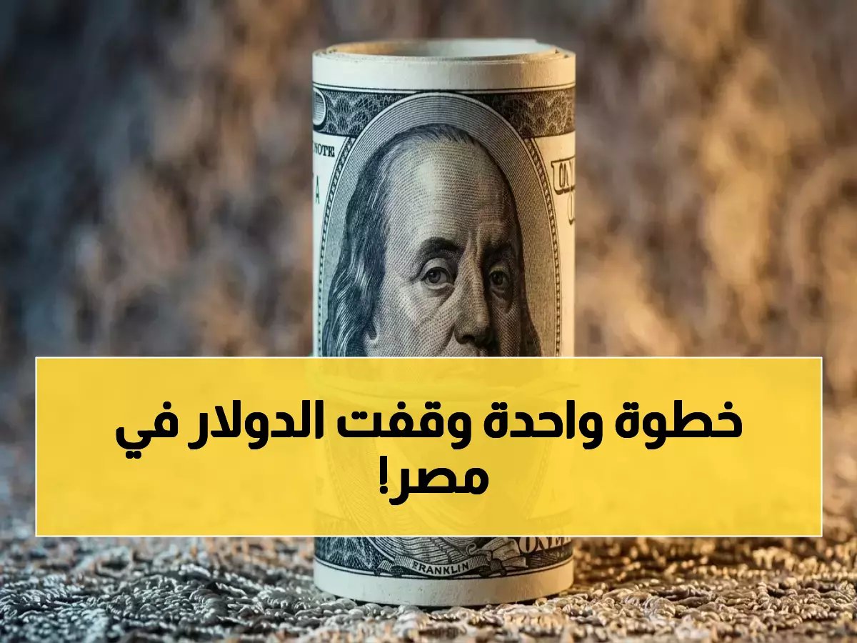 كيف أوقف البنك المركزي المصري سعر الدولار عند 54.29 جنيه بإجراء واحد؟