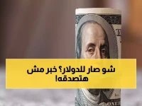  استقرار صادم للدولار عند 54.29 جنيه.. ما السر وراء توقف حركة البيع والشراء تماماً؟