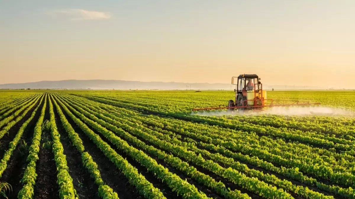 عاجل: مصر تستهدف إنتاج 50% من احتياجاتها من القمح قريبًا.. وهذه هي الطريقة السرية التي ستدهش العالم!