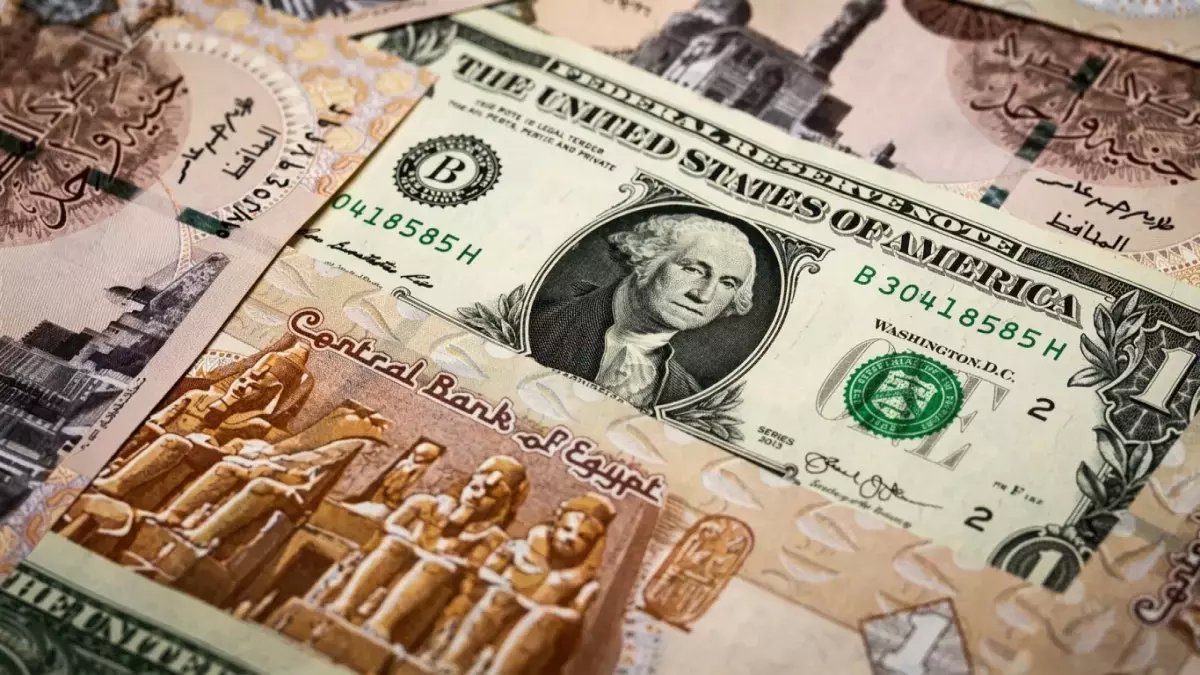 عاجل: سعر الدولار اليوم يلامس 54.50 جنيه للبيع… هل يستمر الارتفاع أم يتراجع؟