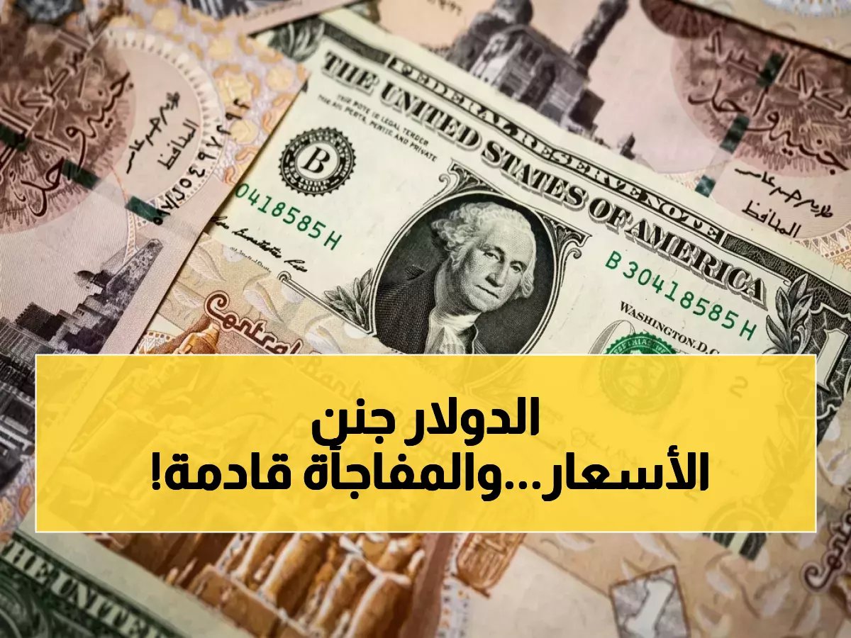  سعر الدولار اليوم يلامس 54.50 جنيه للبيع… هل يستمر الارتفاع أم يتراجع؟