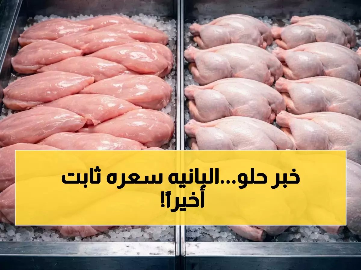  أسعار البانيه تستقر في مفاجأة سارة للمصريين… الكيلو بين 230 و240 جنيهاً اليوم الثلاثاء 7 أبريل