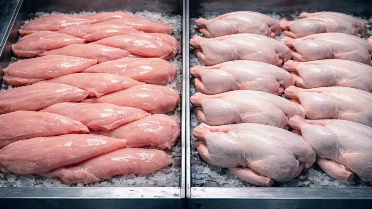 عاجل: أسعار البانيه تستقر في مفاجأة سارة للمصريين… الكيلو بين 230 و240 جنيهاً اليوم الثلاثاء 7 أبريل