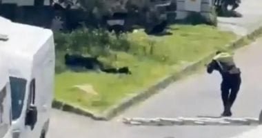 اللحظات الأولى لحادث إطلاق نار بالقرب من القنصلية الإسرائيلية في إسطنبول.. فيديو