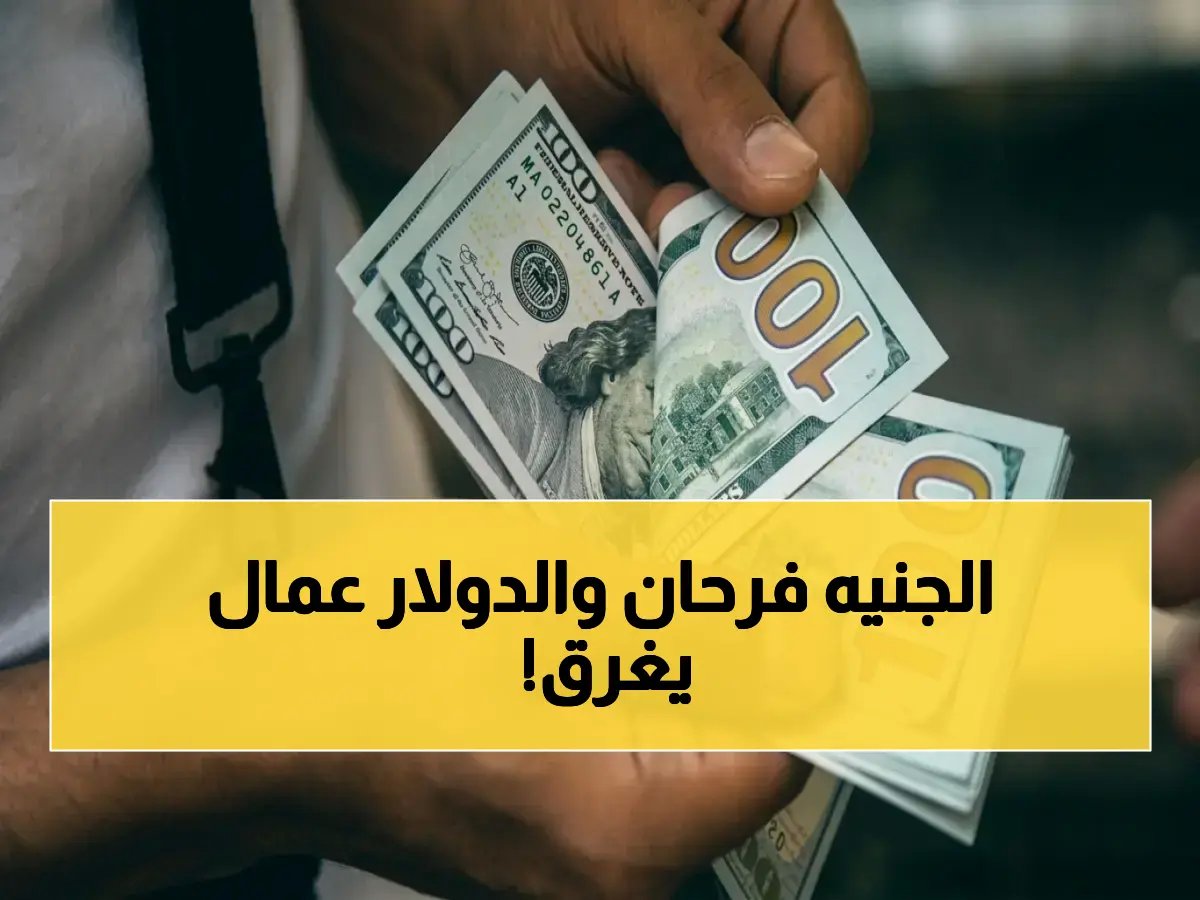  الدولار يسقط صاروخياً في البنوك المحلية خلال ساعات.. خسارة قياسية بلغت 1.37 جنيه وتراجع مفاجئ لهذا السعر!