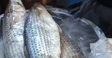 العروسة لازم تاكل فسيخ قبل الزفاف.. حكاية عادة متوارثة فى كفر الشيخ (فيديو)