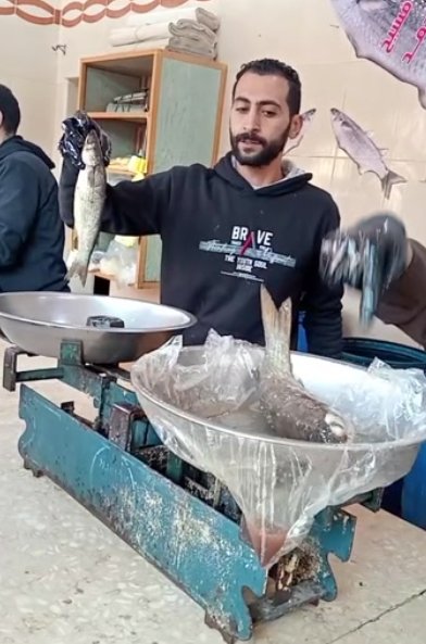 اختيار نوع السمكة يميز فسيخ بيلا اختيار نوع السمكة يميز فسيخ بيلا