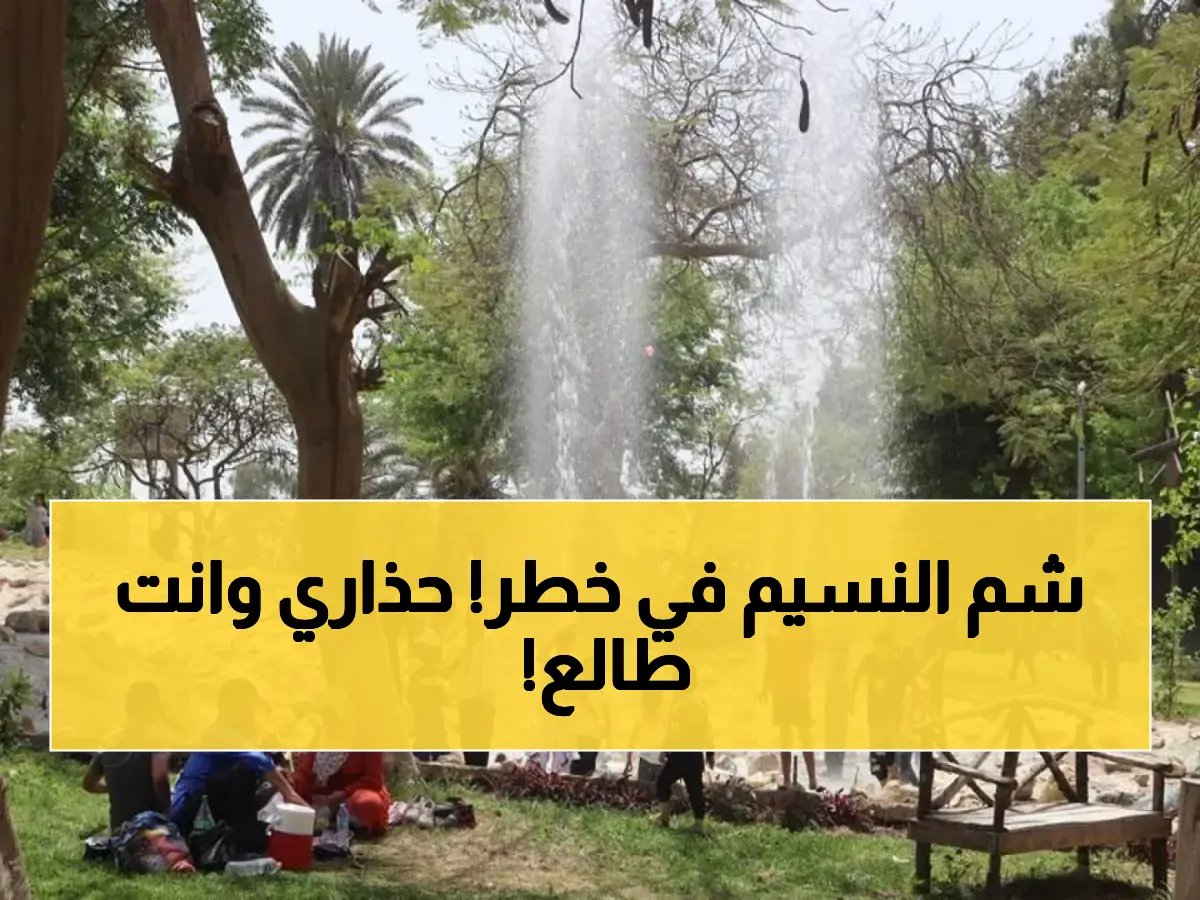قبل الخروج للمتنزهات.. تحذير عاجل من الأرصاد يهدد احتفالات المصريين بشم النسيم 2026