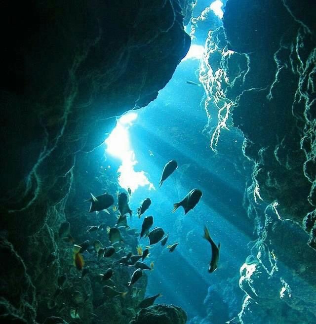 كهوف وبرجين كارلوس ريف