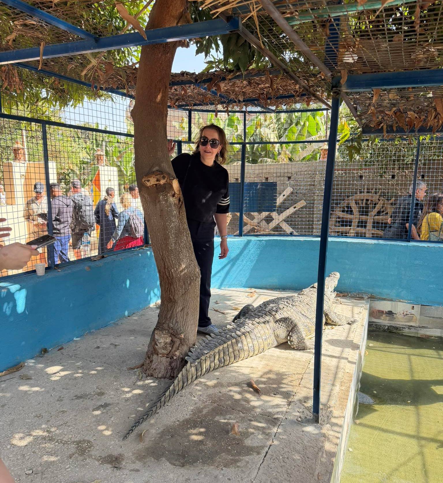 استمتاع أجنبية مع التماسيح فى قلب جزيرة الموز