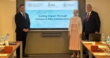 الفاو وإيفاد والأغذية العالمى: مصر أظهرت قيادة قوية لمواجهة التحديات العالمية