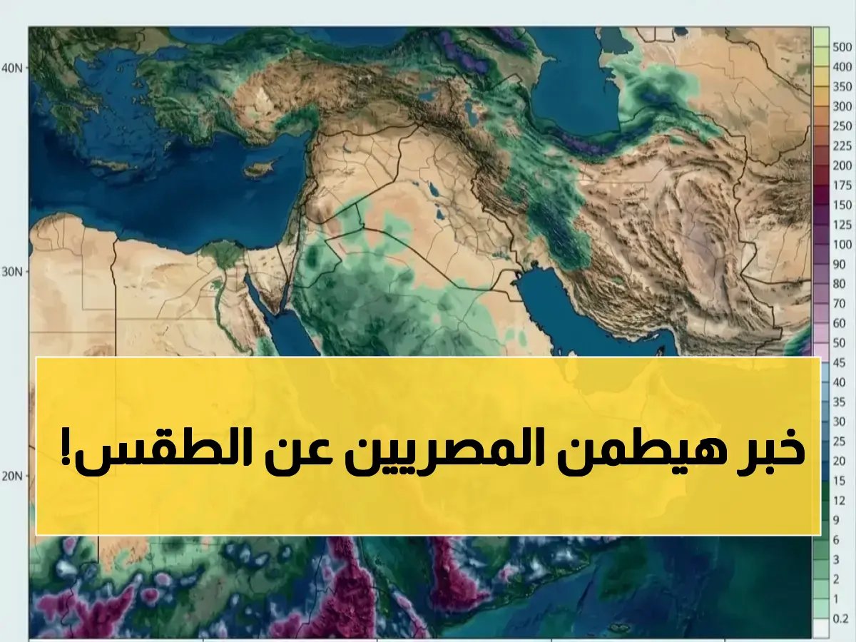  فرصتها 20% فقط