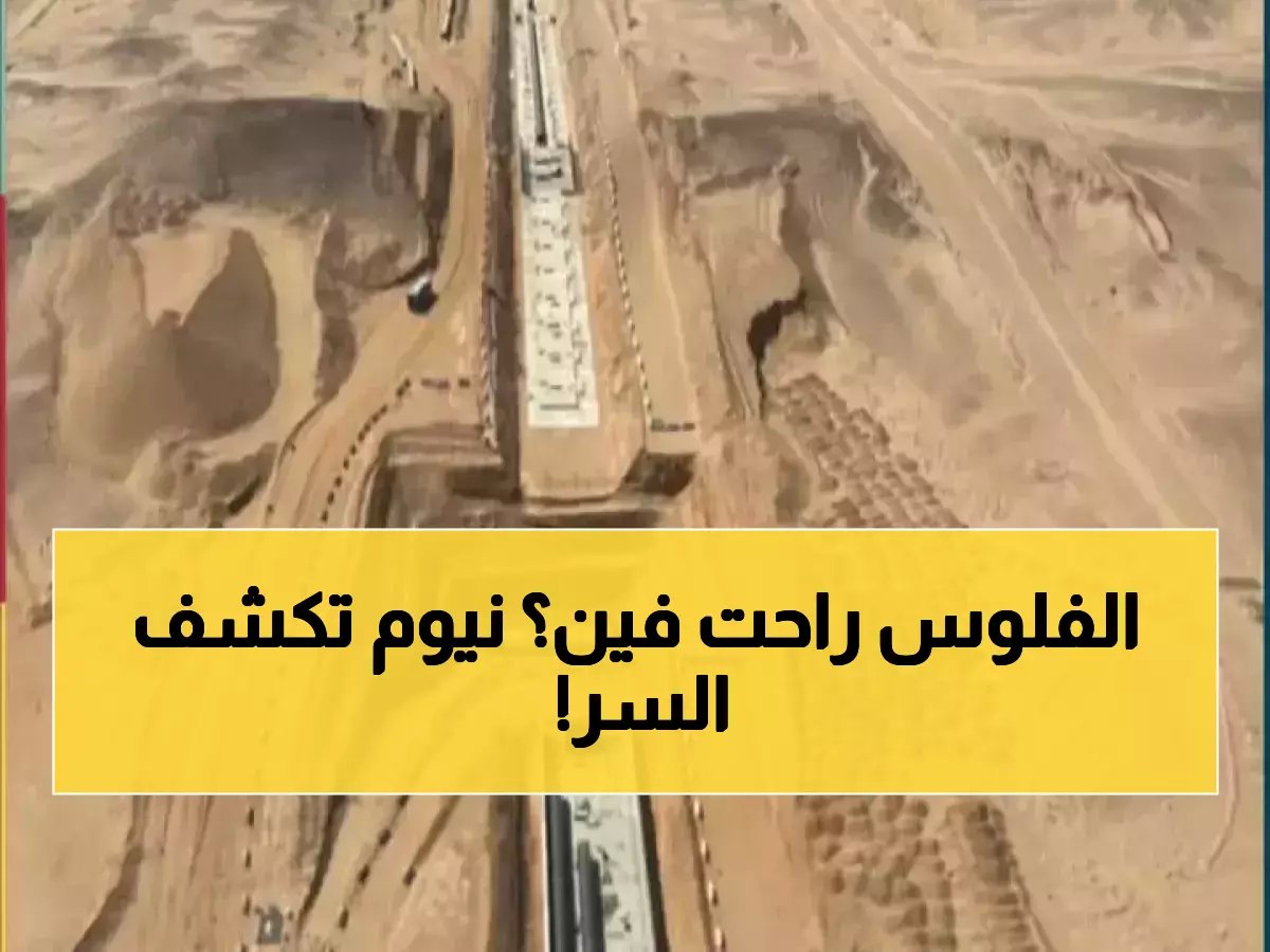  الاستثمار لم يختفِ بل انتقل لبناء 'مركز المخ' الرقمي العالمي المبرد بمياه البحر الأحمر