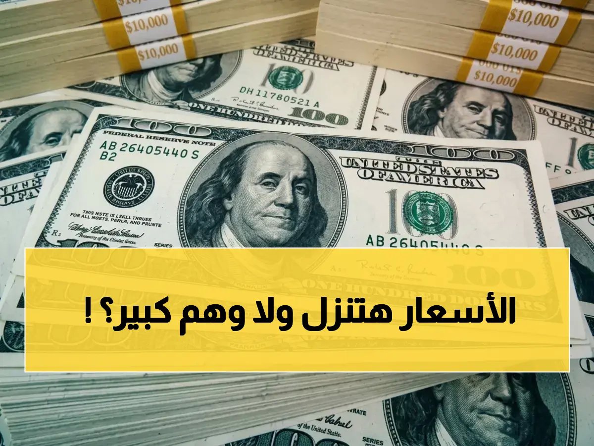  هل هذه نهاية أزمة الأسعار؟ السر يكمن في نسبة 70% المستوردة حسب أحدث تقارير وزارة الصناعة