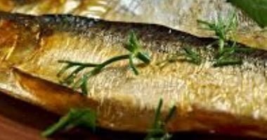 وزارة الصحة توجه نصائح مهمة لتناول الفسيخ والرنجة فى شم النسيم.. تفاصيل