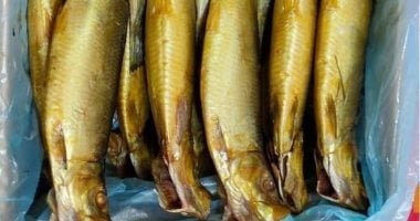 فتح منافذ المجمعات الاستهلاكية غدا خلال شم النسيم لطرح الرنجة والأسماك