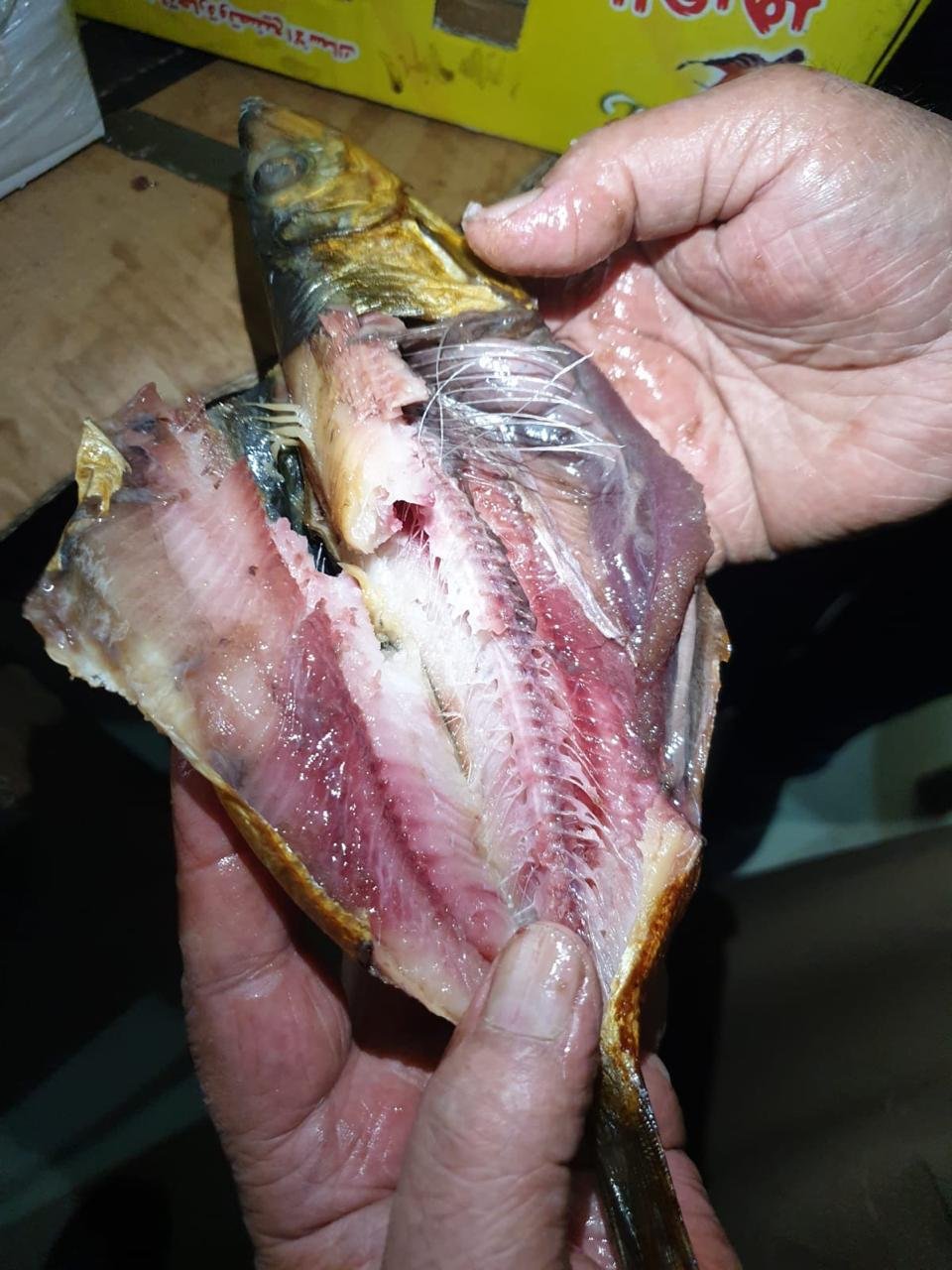 14759be9-3c86-4977-8983-4bfebac352a8 14759be9-3c86-4977-8983-4bfebac352a8