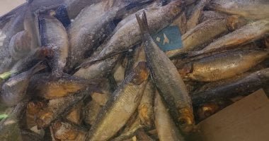 وزارة الصحة تقدم عدة نصائح لاختيار رنجة وفسيخ آمنين خلال شم النسيم