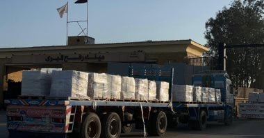مصر تمد غزة بـ5060 طنا من المساعدات ضمن قافلة زاد العزة الـ175