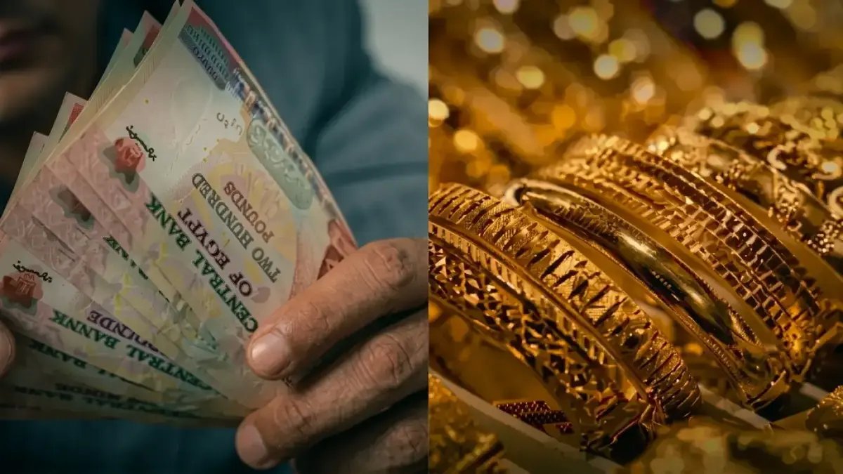 تحذير من البنك الأهلي: لص يسرق 15.1% من مدخراتك... والحل الرسمي الأقوى أصبح جاهزاً