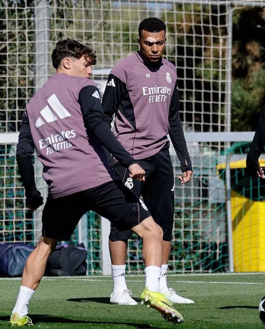 f339d72f-dcf3-40a2-8ae3-bb0eac81f870 f339d72f-dcf3-40a2-8ae3-bb0eac81f870