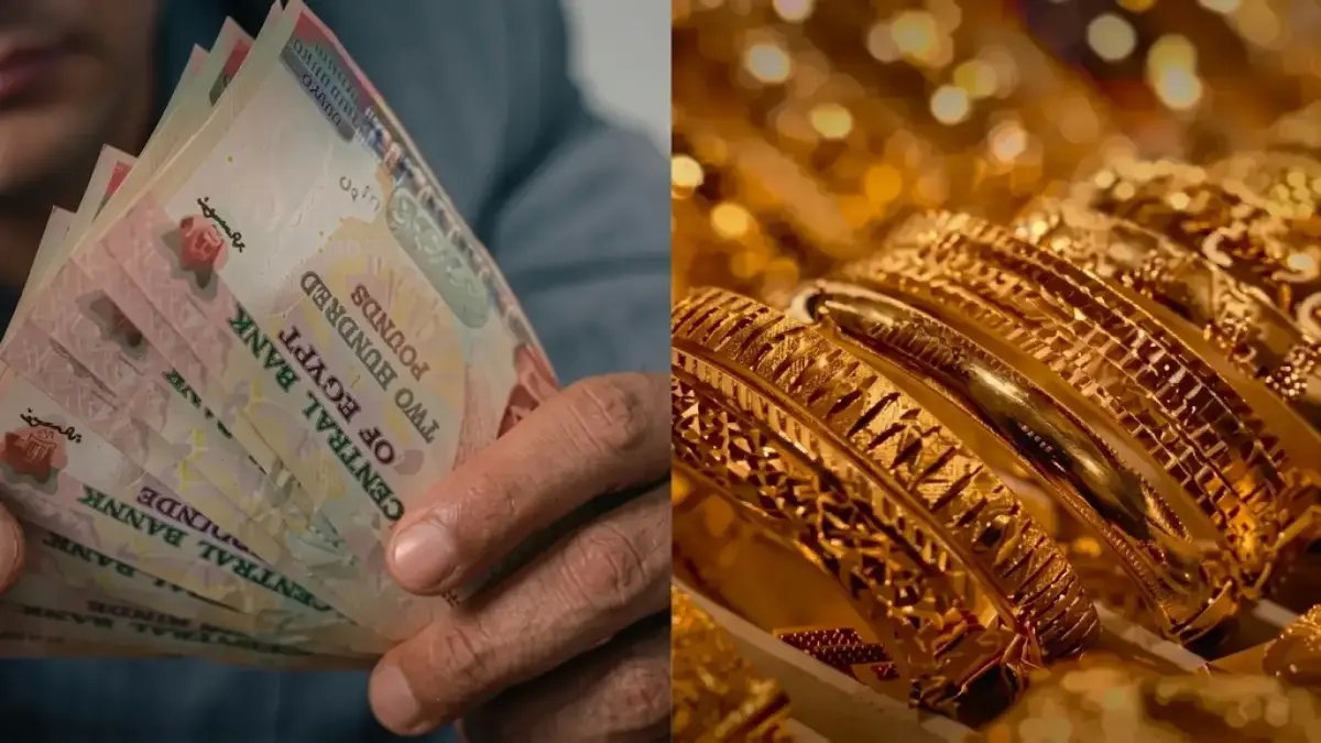 الرقم الذي يخبئه عنك الجميع... البنك الأهلي المصري يكشف فجأة: 15.1% هو خط الدفاع الأخير لمدخراتك.