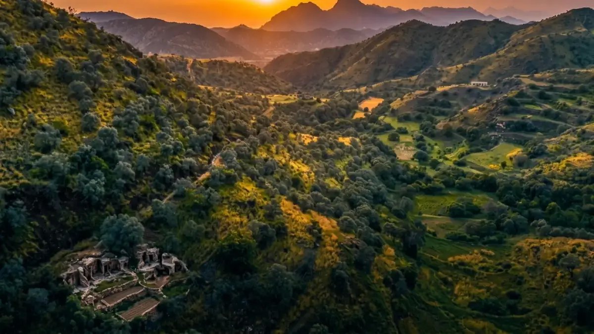 وزارة البيئة تضع المجتمع أمام اختبار زمني صارم: ماذا يمكن إنجازه عندما تكون السلطة هي من يعّد التنازلي؟ الجواب: تأثير ملموس عبر جميع مناطق المملكة في سبعة أيام فقط.