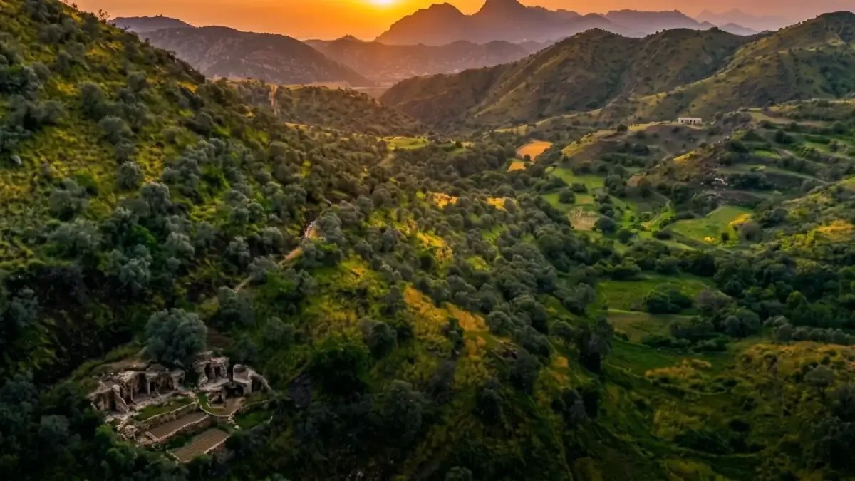 كيف تحولت السعودية بيئياً في سبعة أيام فقط؟ الجواب: وزارة البيئة والمياه والزراعة أطلقت أكبر حدث بيئي في تاريخ المملكة خلال أسبوع واحد.